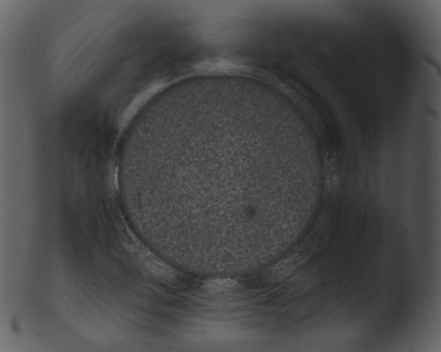 X0000103271462200809261151