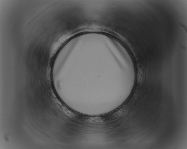X0000103271464200809261151