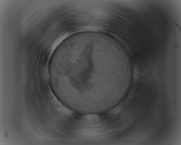 X0000103271466200809261151