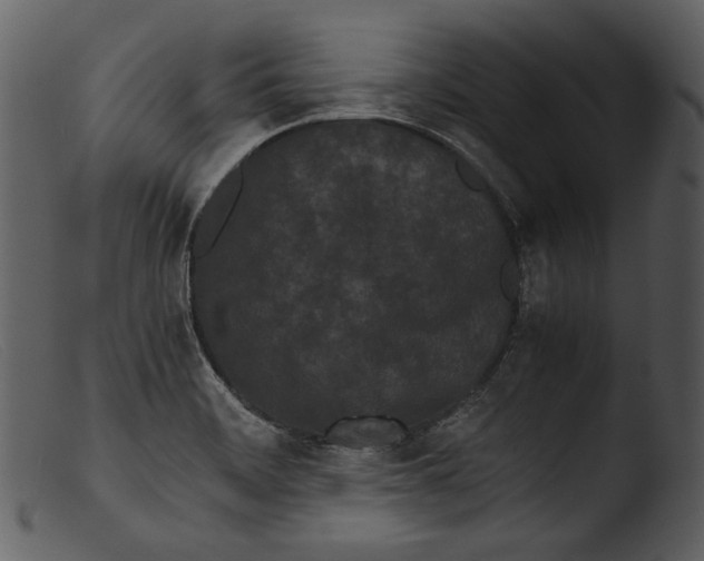 X0000103271468200809261151