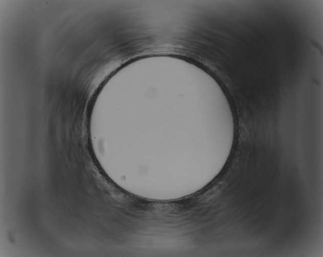 X0000103271469200809261151