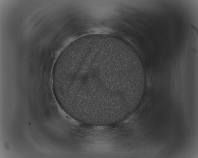 X0000103271471200809261151