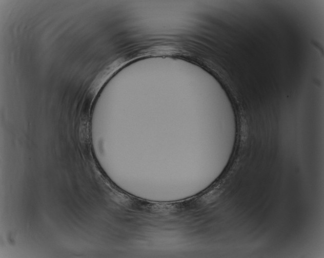 X0000103271473200809261151