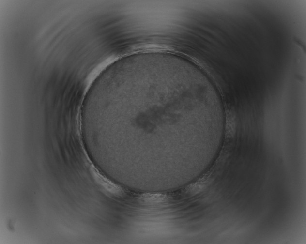X0000103271474200809261151