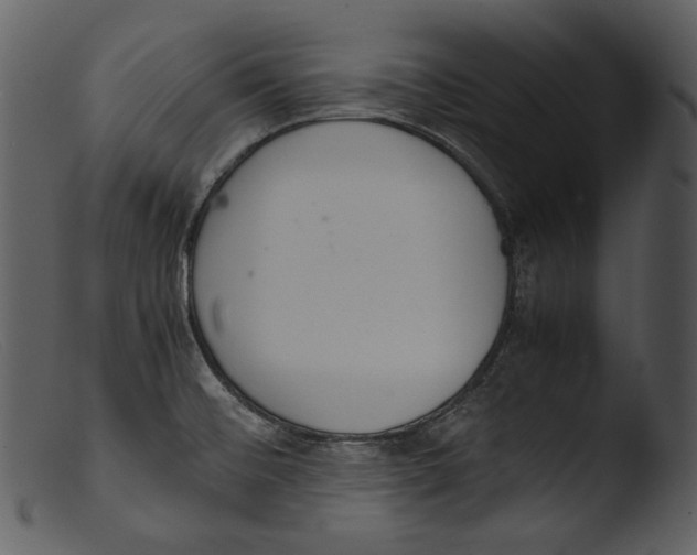 X0000103271476200809261151