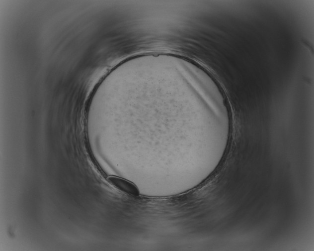 X0000103271477200809261151