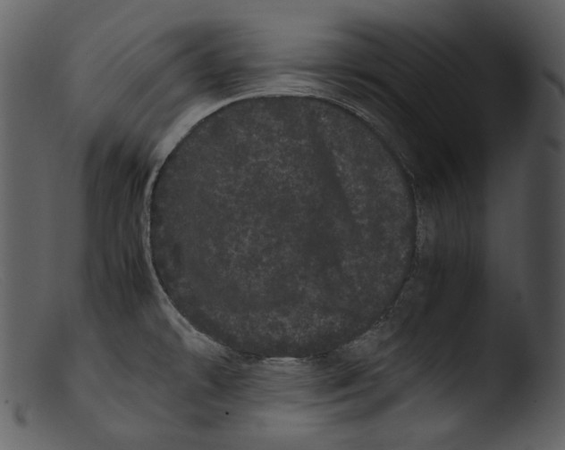 X0000103271478200809261151