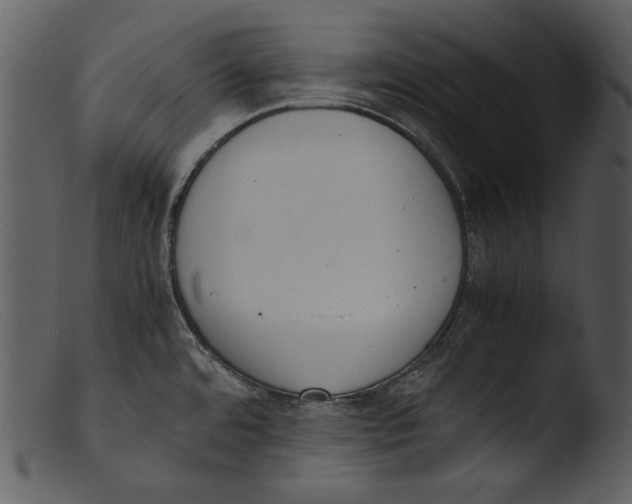 X0000103271480200809261151