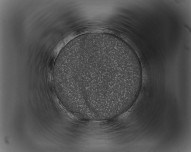 X0000103271481200809261151