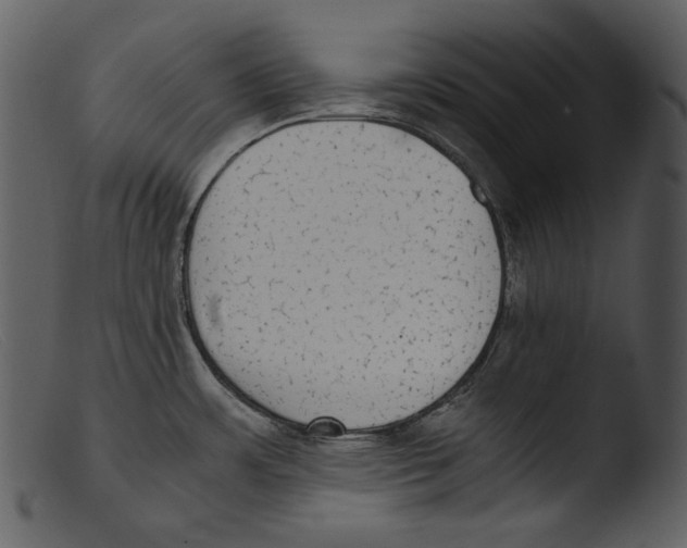X0000103271483200809261151