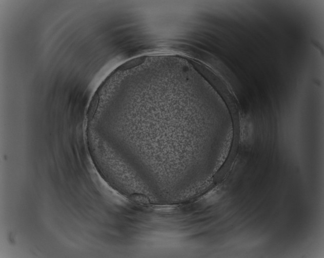 X0000103271484200809261151