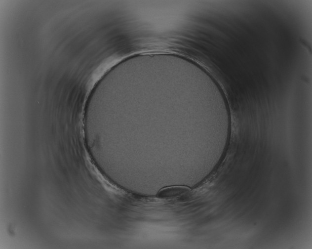 X0000103271485200809261150