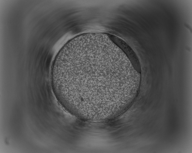 X0000103271488200809261150