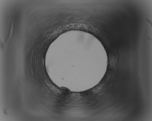 X0000103271489200809261150