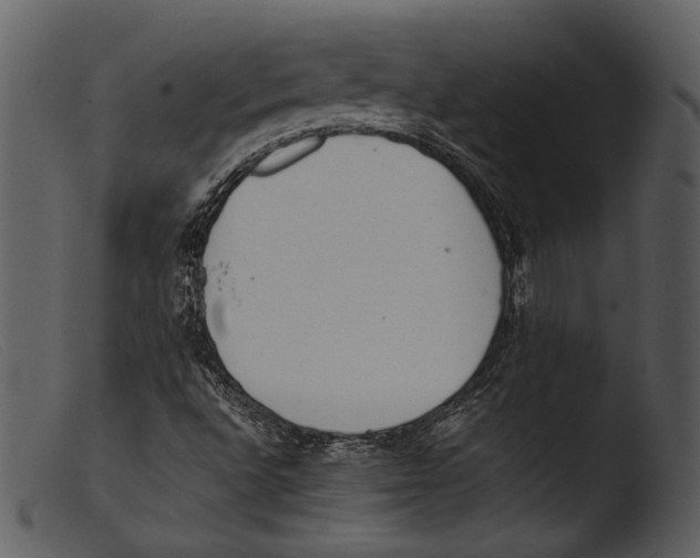 X0000103271496200809261150