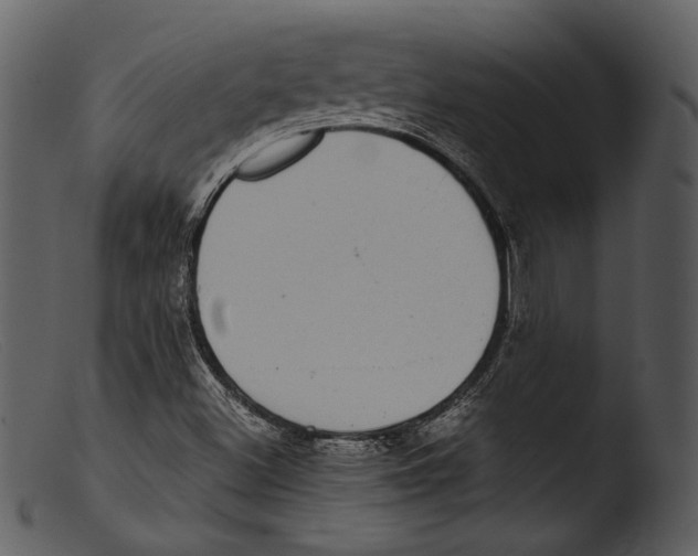 X0000103271500200809261150