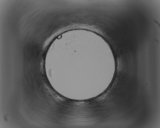 X0000103271502200809261150