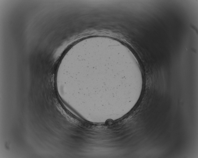 X0000103271503200809261150