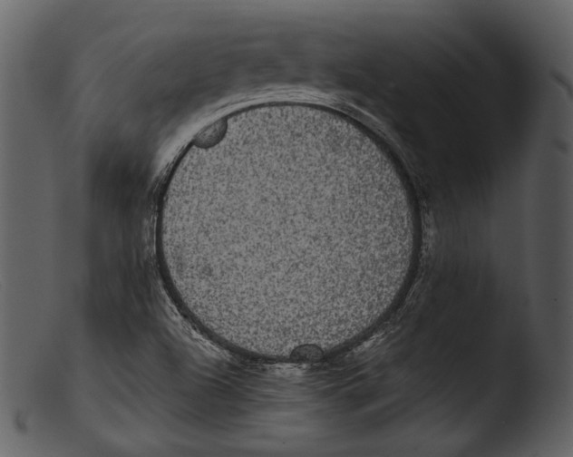 X0000103271504200809261150