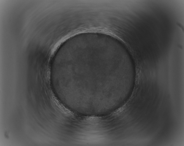 X0000103271506200809261150