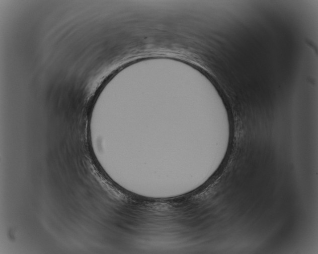 X0000103271507200809261150