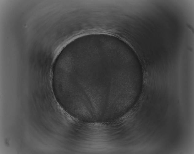 X0000103271508200809261150