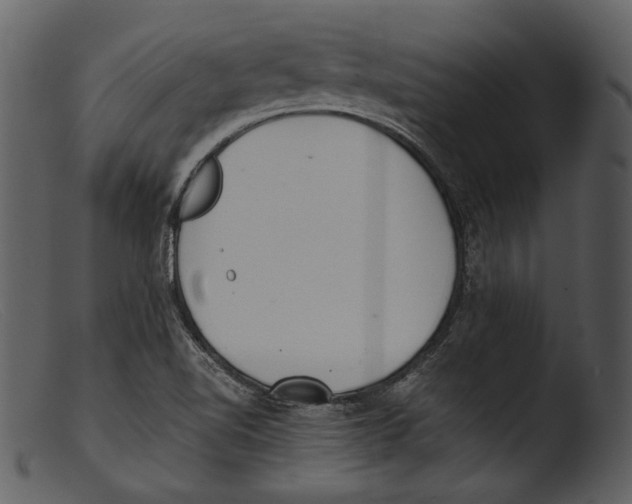 X0000103271510200809261150