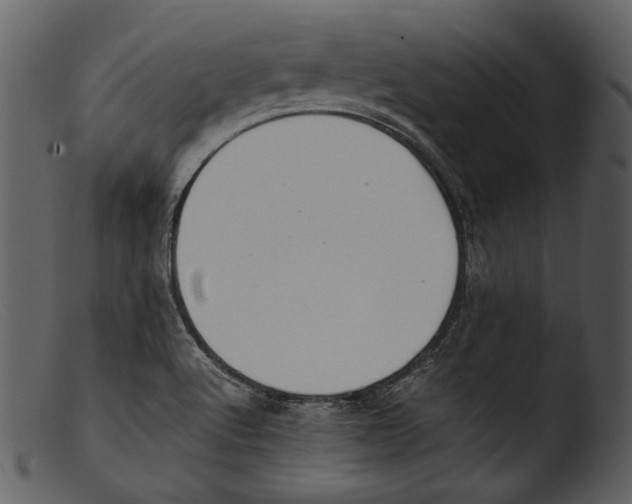X0000103271512200809261150