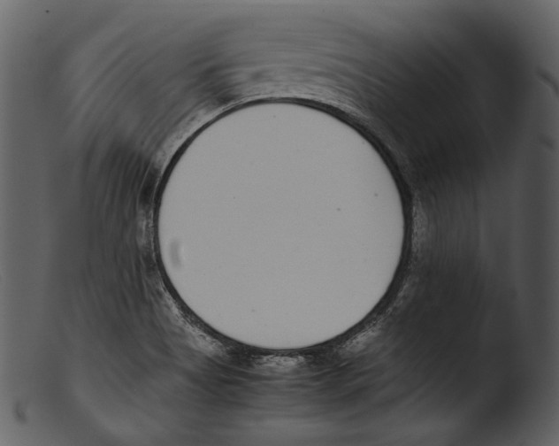 X0000103271513200809261150