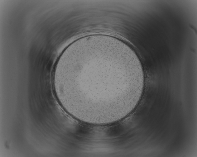 X0000103271514200809261150