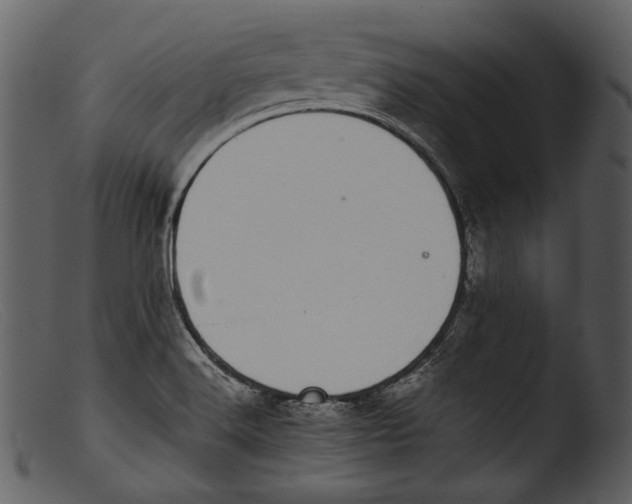 X0000103271516200809261150
