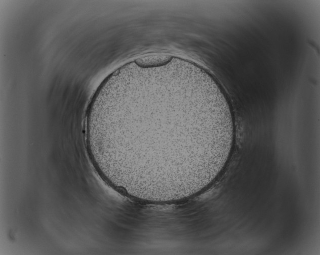 X0000103271519200809261150
