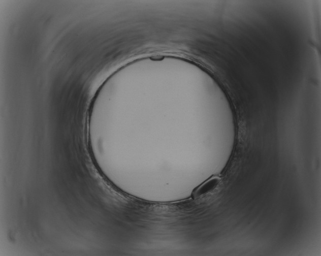 X0000103271520200809261150