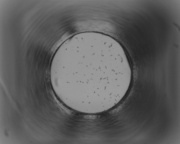 X0000103271521200809261150