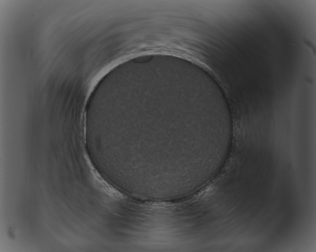 X0000103271522200809261150