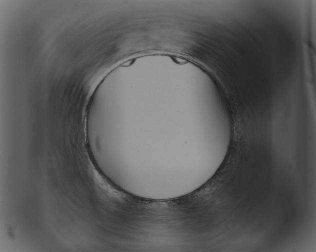 X0000103271524200809261150