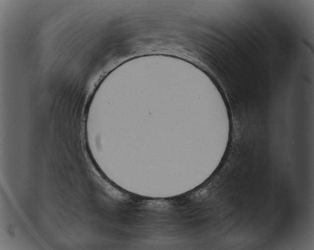 X0000103271525200809261150