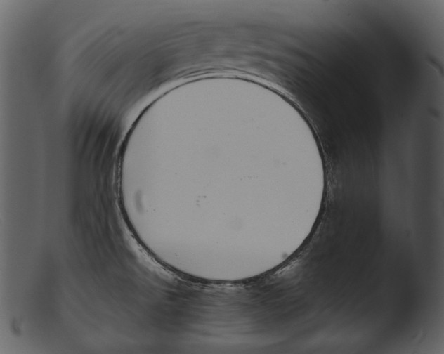 X0000103271526200809261150