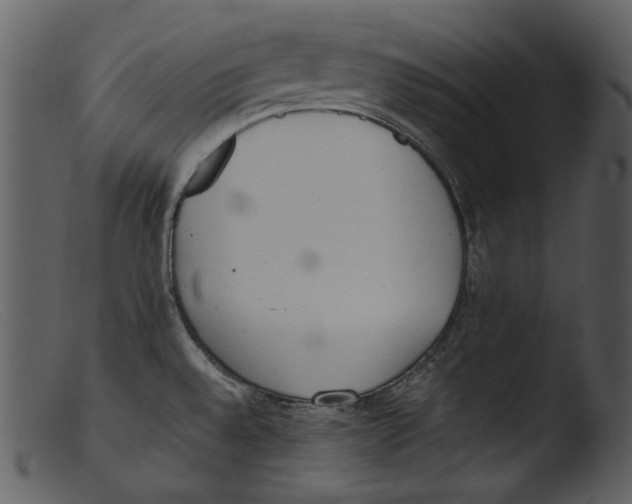 X0000103271528200809261150