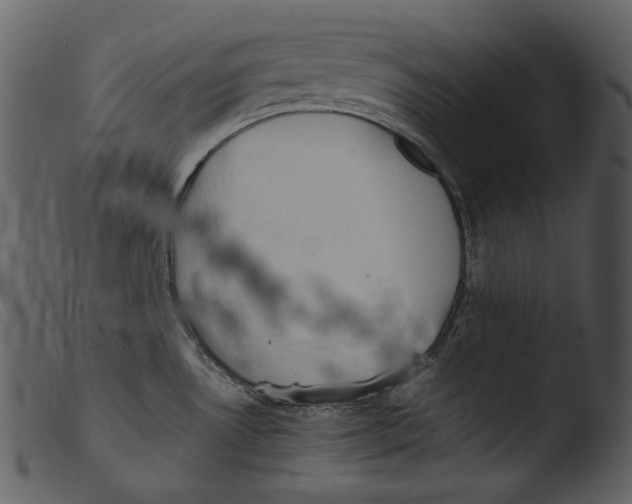 X0000103271530200809261150