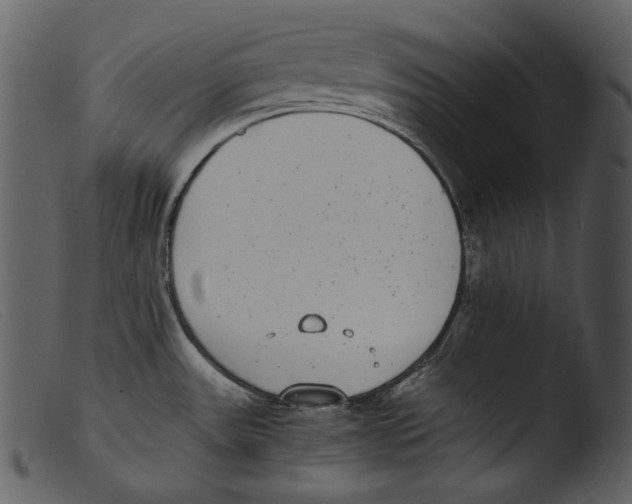 X0000103271531200809261150