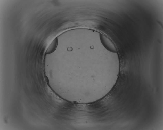 X0000103271532200809261150