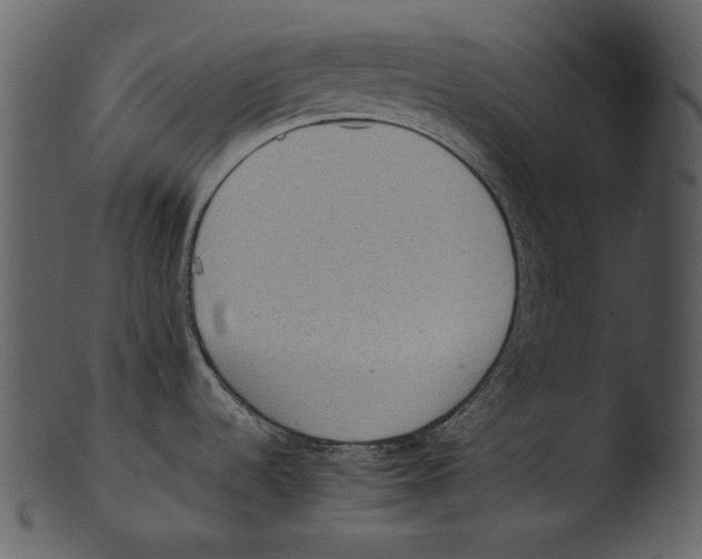 X0000103271536200809261150