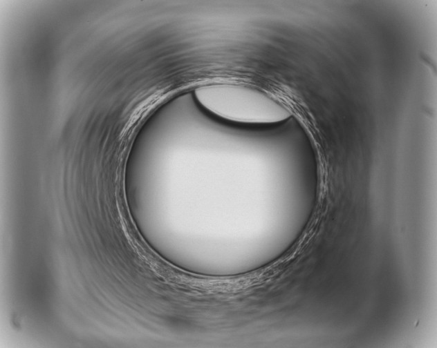 X0000103280001200808291056