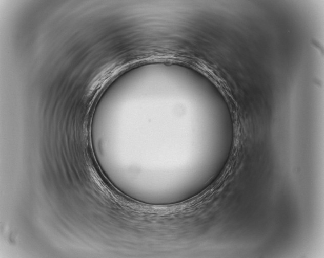 X0000103280002200808291056