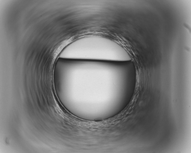 X0000103280003200808291056