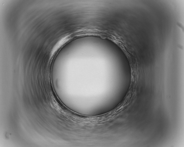 X0000103280004200808291056