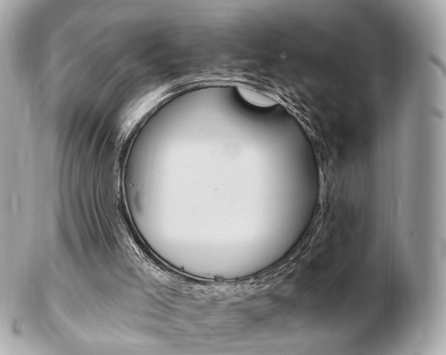 X0000103280005200808291056