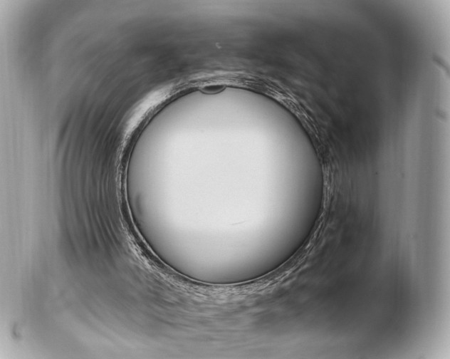 X0000103280006200808291056