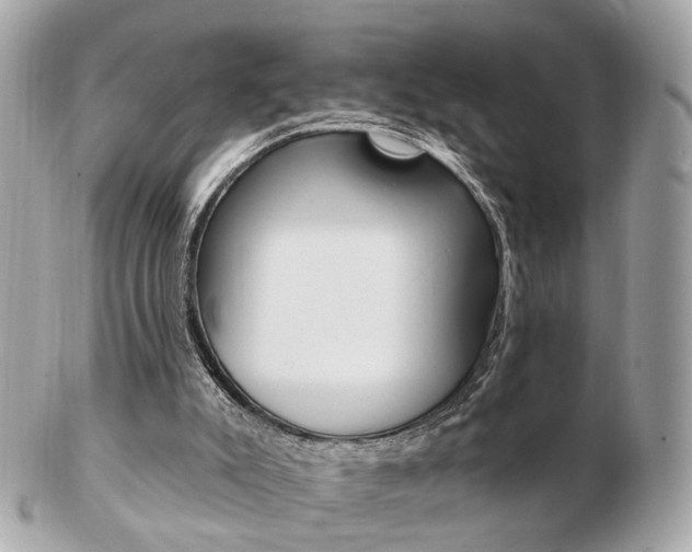 X0000103280007200808291056